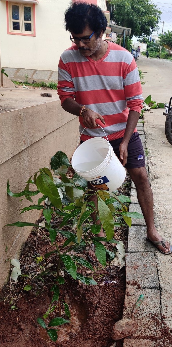 2020_sep_bannerghatha_teak_plant